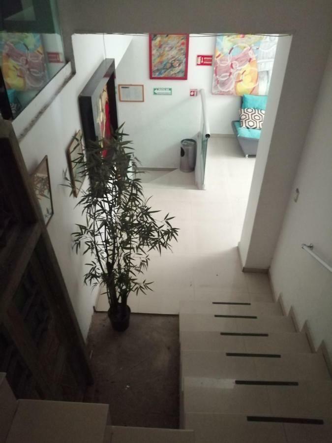 Pule Pule Hostal Boutique Guadalajara Zewnętrze zdjęcie